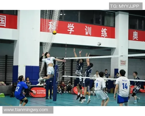 广州排球队展现灵活战术优势赛季表现引人瞩目