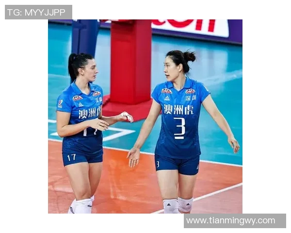 深圳排球队配合表现分析与提升策略探讨 深圳排球队配合表现分析与提升策略探讨