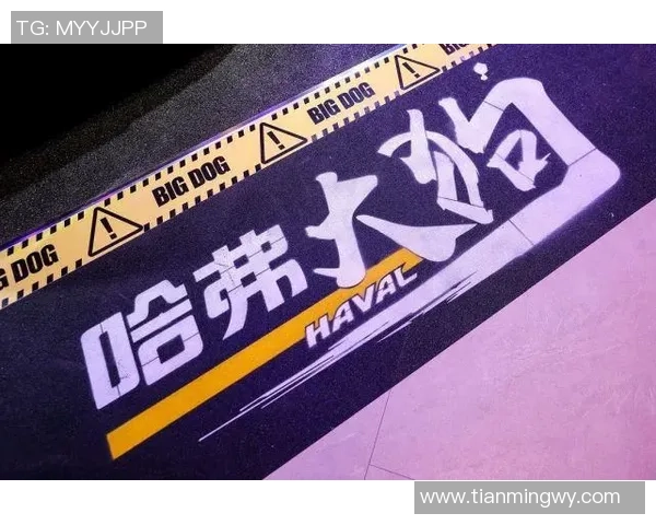 足球明星认证抖音引领潮流助力年轻人追逐梦想的全新平台 足球明星认证抖音引领潮流助力年轻人追逐梦想的全新平台