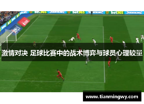 激情对决 足球比赛中的战术博弈与球员心理较量