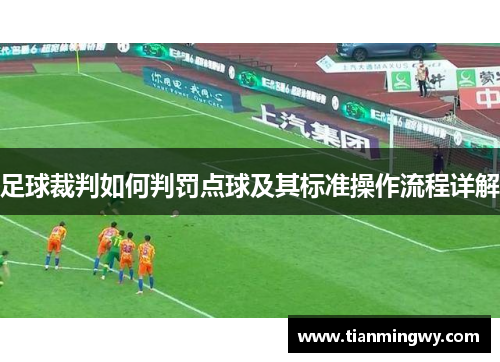 足球裁判如何判罚点球及其标准操作流程详解