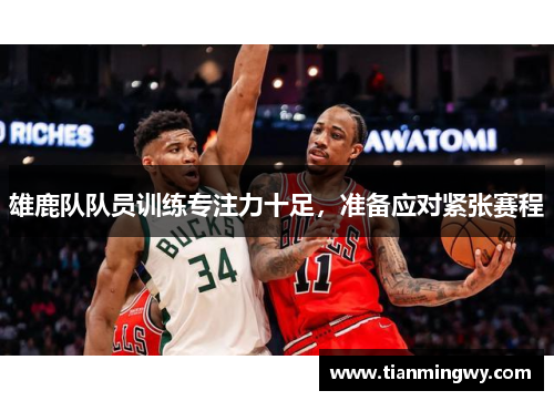 雄鹿队队员训练专注力十足，准备应对紧张赛程