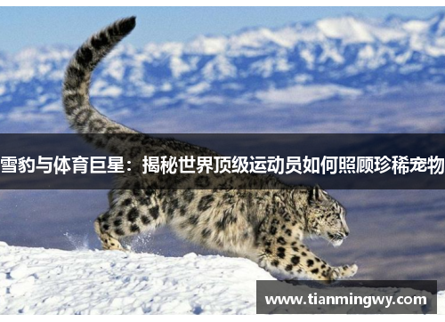 雪豹与体育巨星：揭秘世界顶级运动员如何照顾珍稀宠物