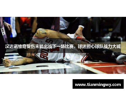 汉达诺维奇受伤未能出战下一场比赛，球迷担心球队战力大减